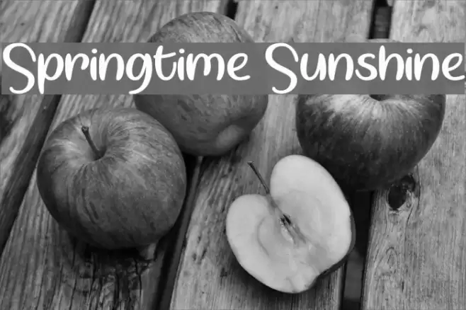 Springtime Sunshine Font examples