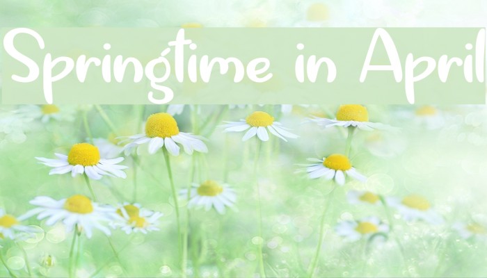 Springtime in April Font examples