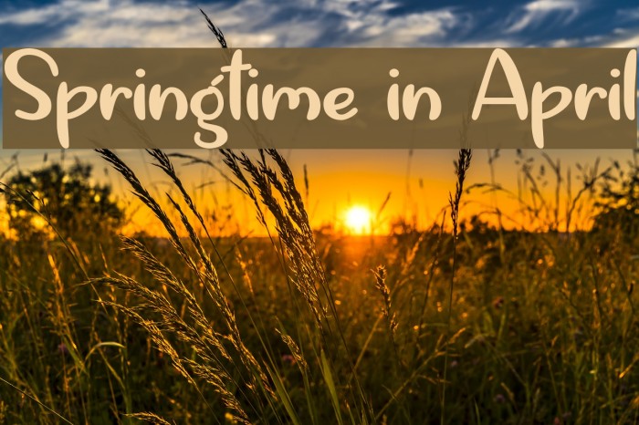 Springtime in April Font examples
