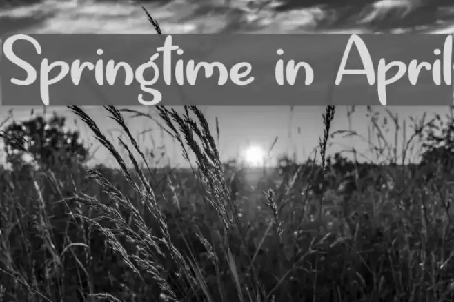 Springtime in April Font examples