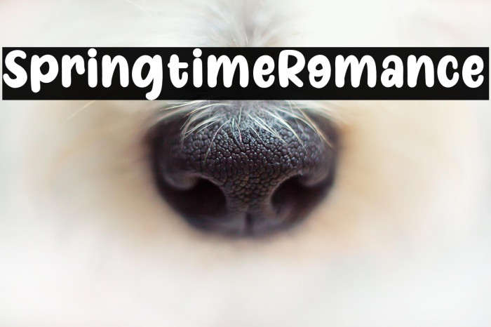 SpringtimeRomance Example 1