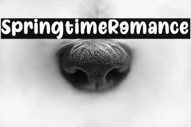 SpringtimeRomance Шрифта examples