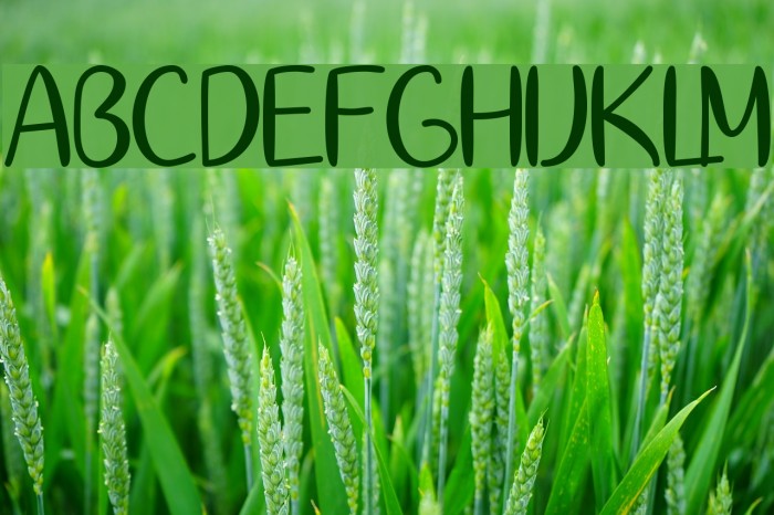 SpringtimeSunshine Font examples