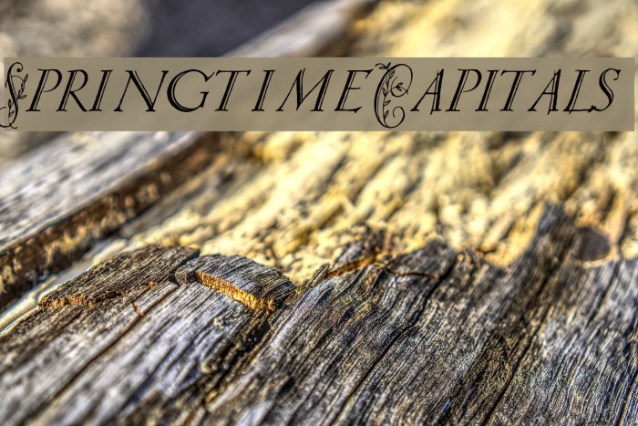 Springtime_Capitals Font examples