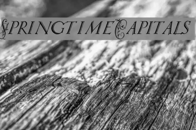Springtime_Capitals フォント examples