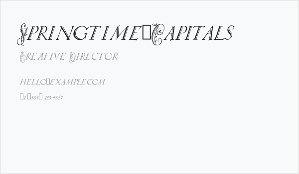 Springtime_Capitals Business Card