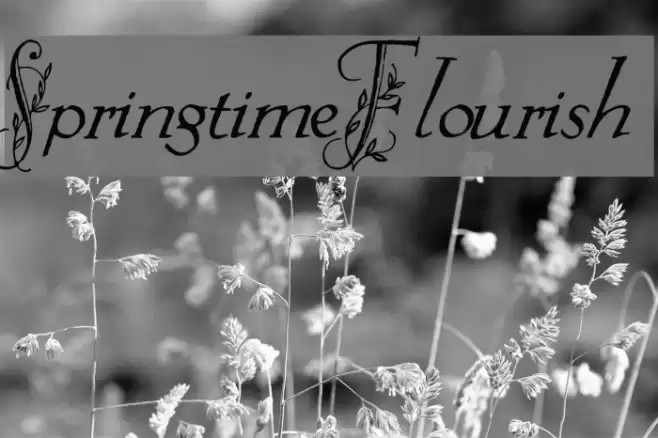 Springtime_Flourish フォント examples