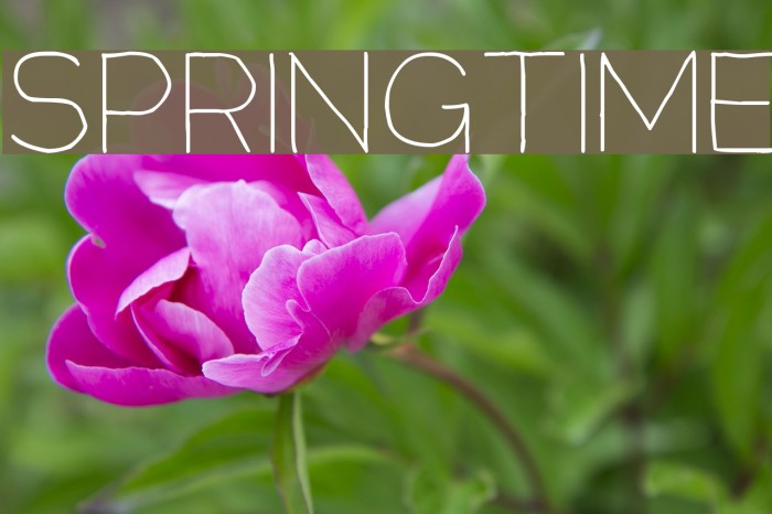 Springtime Font examples