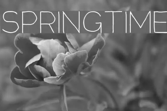 Springtime Font examples
