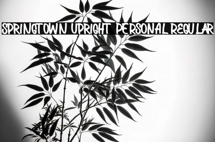 Springtown Upright PERSONAL Regular Example 3