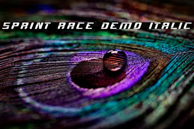 Sprint Race Demo Italic Example 2