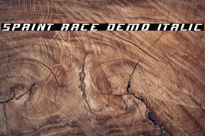 Sprint Race Demo Italic Example 3