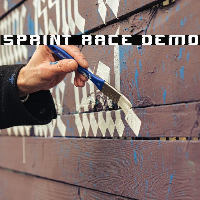 Sprint Race Demo Example 1
