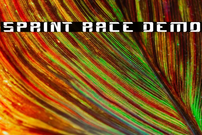 Sprint Race Demo Example 3