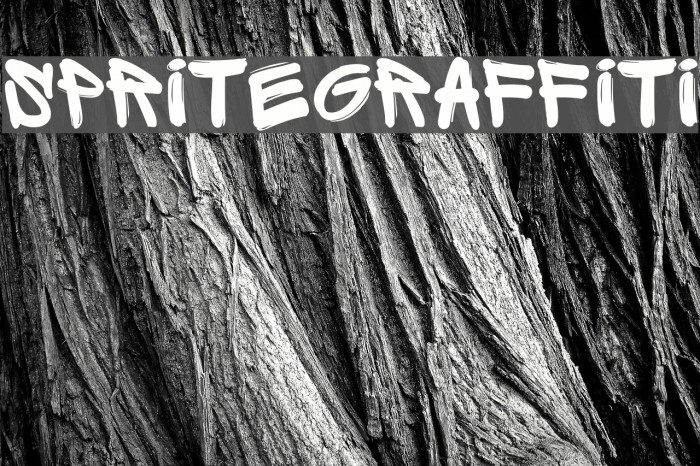 SpriteGraffiti Example 1