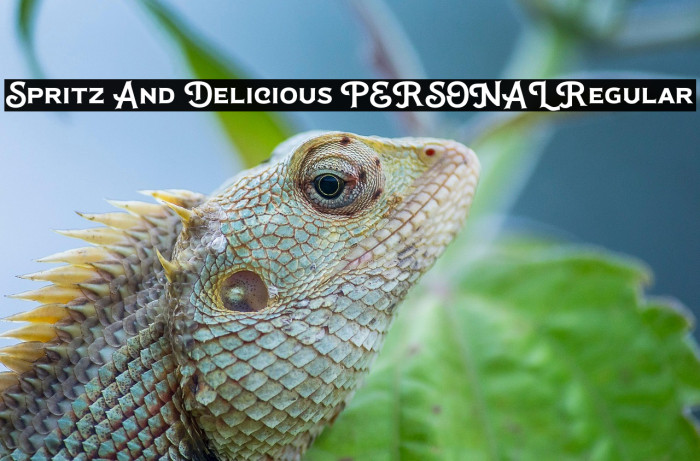 Spritz And Delicious PERSONAL Regular Example 2