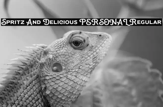 Spritz And Delicious PERSONAL Regular Font examples