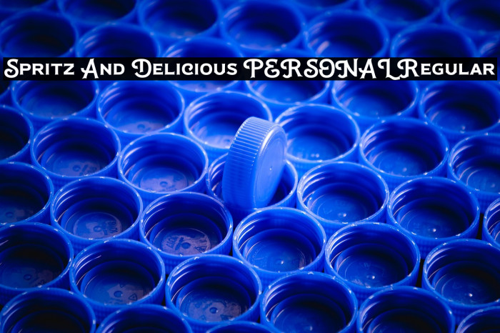 Spritz And Delicious PERSONAL Regular Example 3