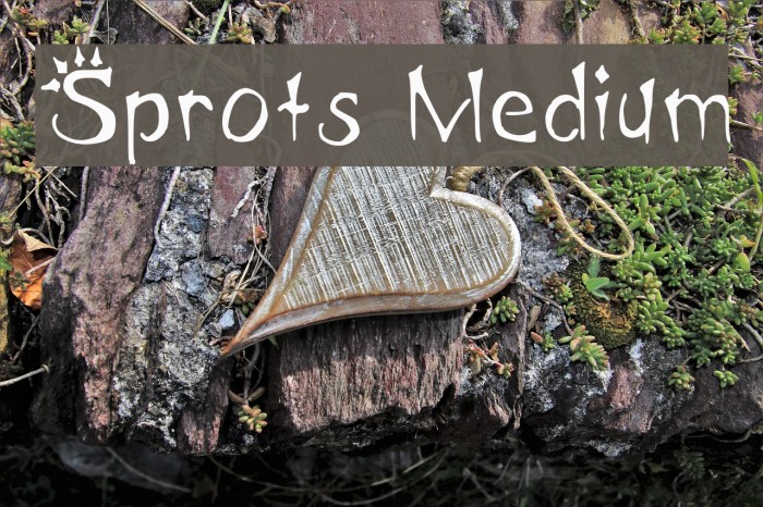 Sprots Medium Font examples