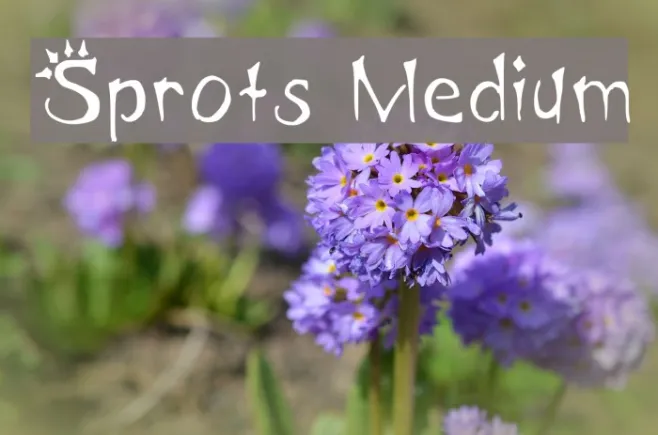 Sprots Medium Example 2