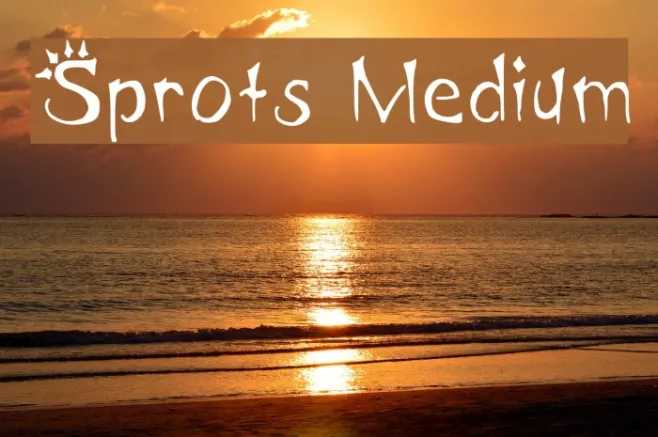 Sprots Medium Example 3