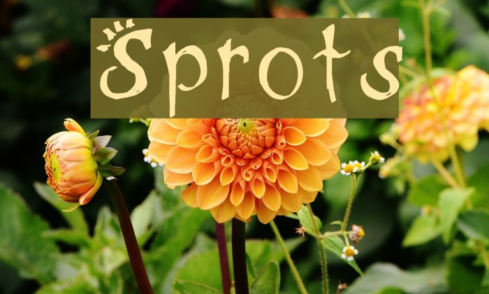 Sprots Font examples