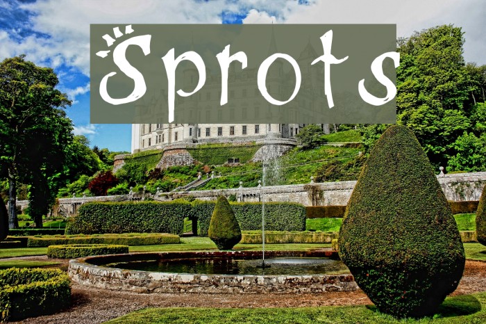 Sprots Font examples