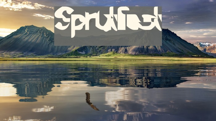Sprutfest Font examples