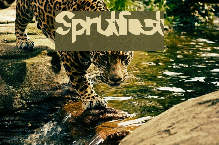 Sprutfest Font examples