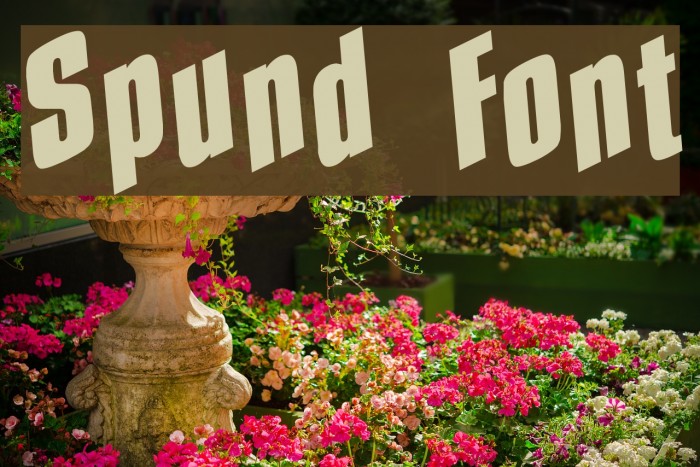 Spund Font examples
