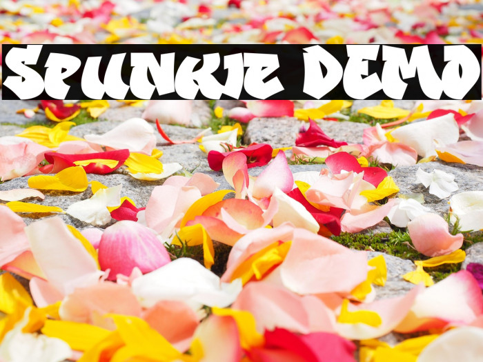 Spunkie DEMO Example 1