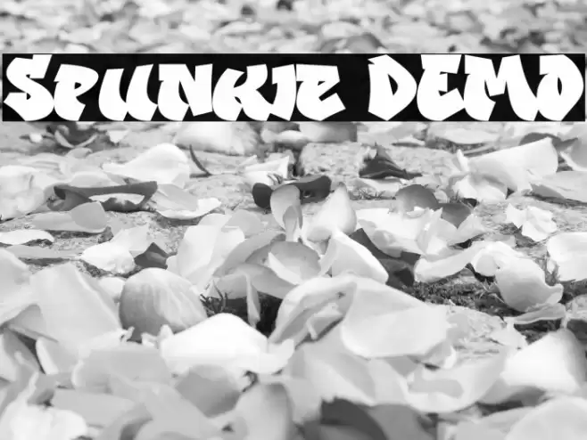Spunkie DEMO Font examples
