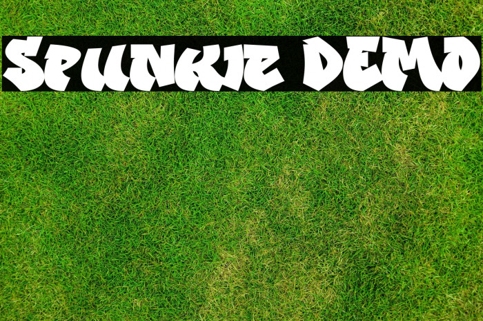 Spunkie DEMO Example 3