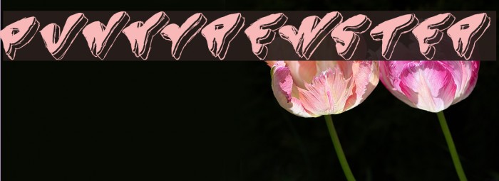 Spunky-Brewster Font examples