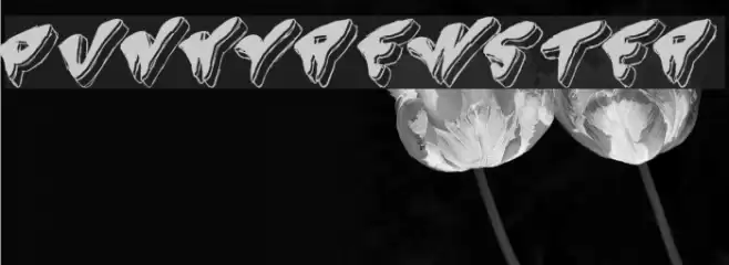 Spunky-Brewster フォント examples