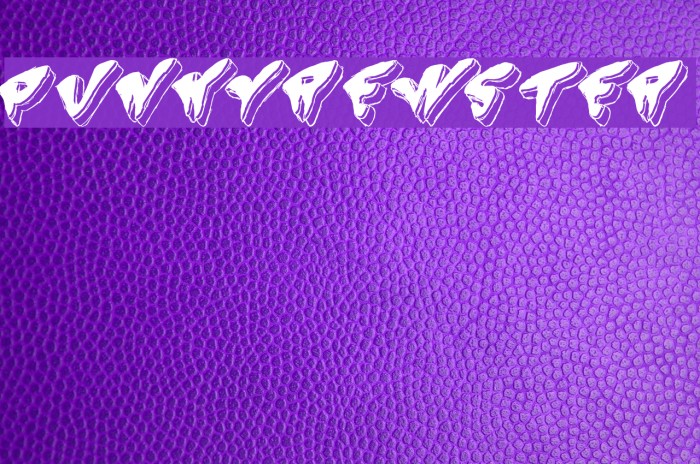 Spunky-Brewster Font examples