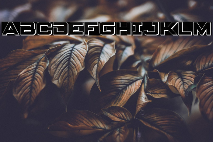 Spy Agency 3D Example 1