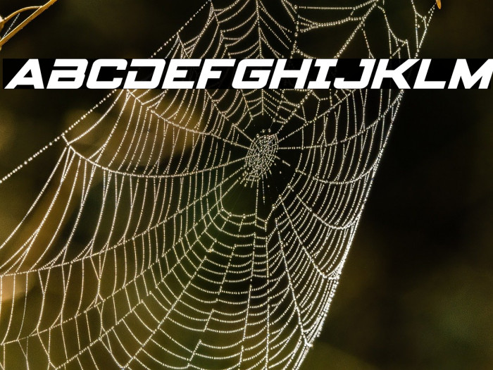 Spy Agency Bold Italic Example 2