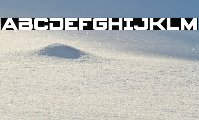 Spy Agency Bold Example 2