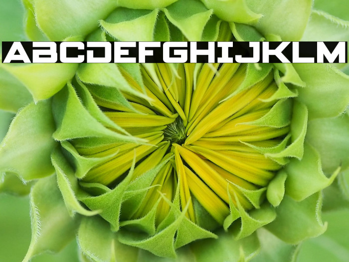 Spy Agency Bold Example 3