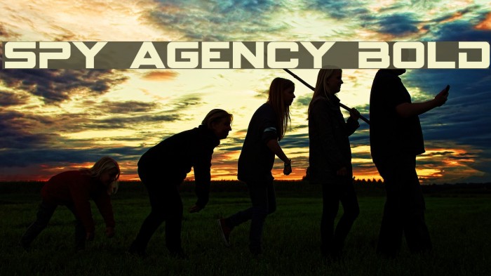 Spy agency