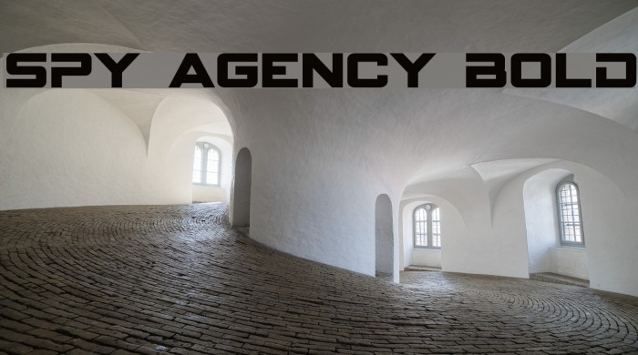 Spy agency