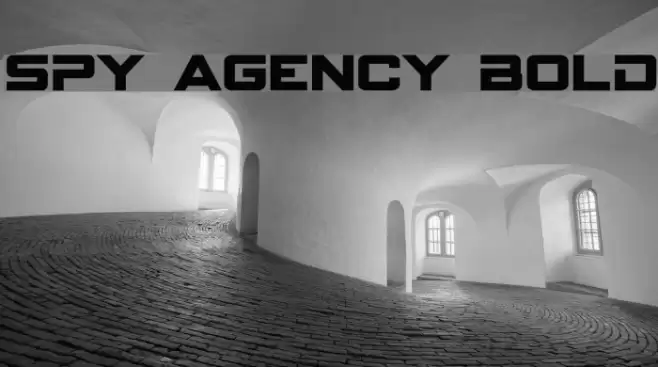 Spy Agency Bold Fuentes examples