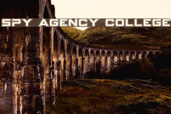 Spy Agency College Example 2