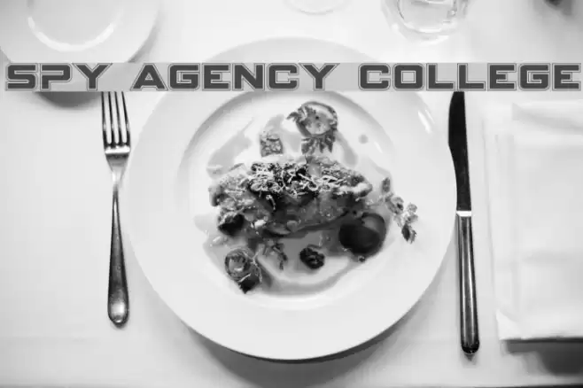 Spy Agency College Font examples