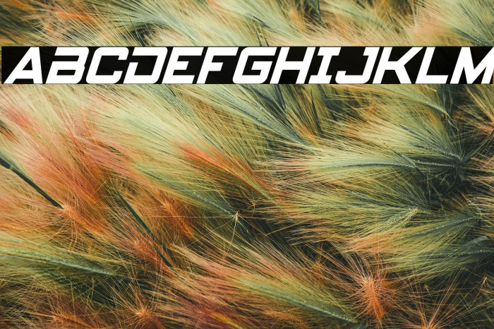 Spy Agency Condensed Italic Example 1