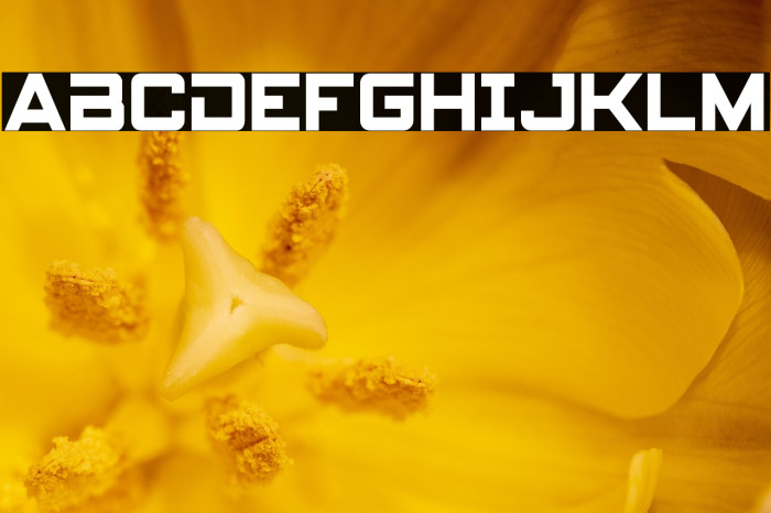 Spy Agency Condensed Example 2