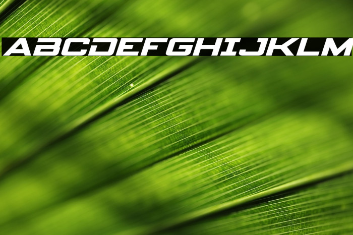 Spy Agency Expanded Italic Example 3