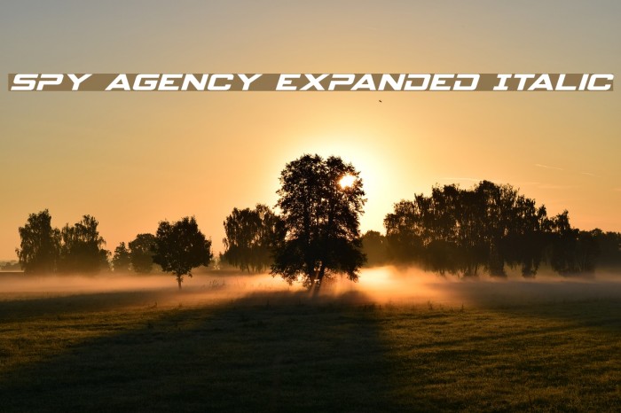Spy Agency Expanded Italic Example 1