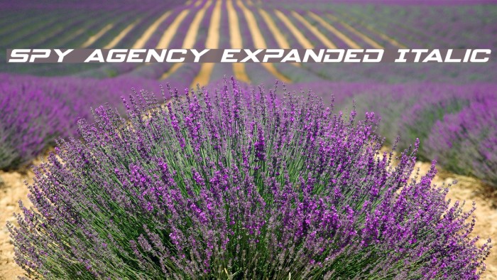 Spy Agency Expanded Italic Example 3